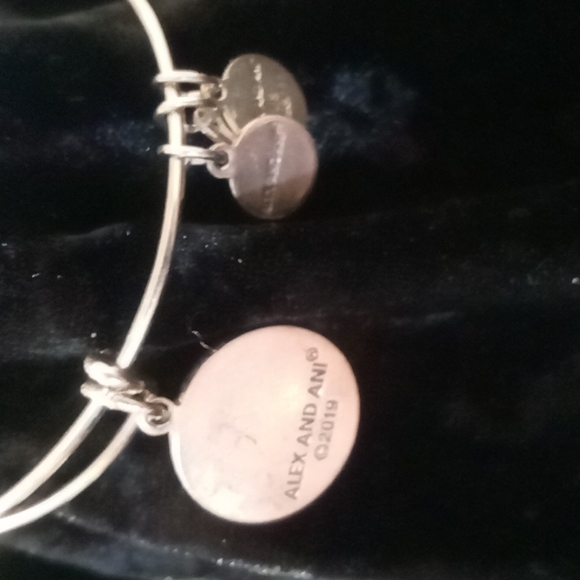 Alex and Ani bangle bracelet path of life bangle charm. - Picture 3 of 5